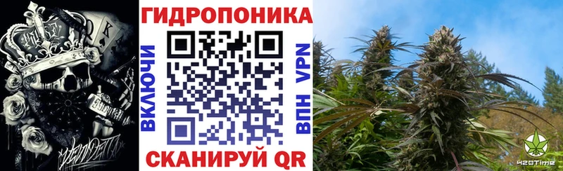 Конопля планчик  Тихорецк 
